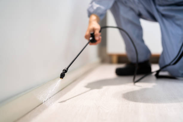 Licensed Pest Control service in Lockport, LA - Show Me Pest Control